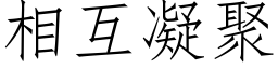 相互凝聚 (仿宋矢量字庫)