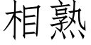 相熟 (仿宋矢量字庫)