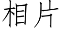 相片 (仿宋矢量字库)