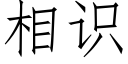 相識 (仿宋矢量字庫)