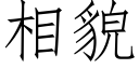 相貌 (仿宋矢量字庫)