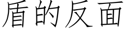 盾的反面 (仿宋矢量字庫)