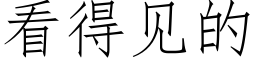 看得见的 (仿宋矢量字库)