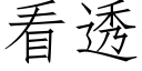 看透 (仿宋矢量字库)