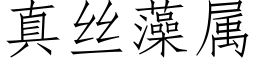 真丝藻属 (仿宋矢量字库)