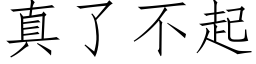 真了不起 (仿宋矢量字库)