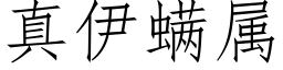 真伊螨属 (仿宋矢量字库)