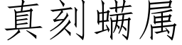 真刻螨属 (仿宋矢量字库)