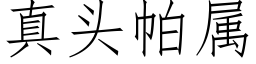 真头帕属 (仿宋矢量字库)