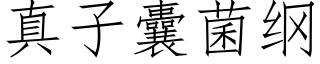 真子囊菌纲 (仿宋矢量字库)