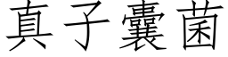 真子囊菌 (仿宋矢量字库)