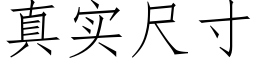 真实尺寸 (仿宋矢量字库)