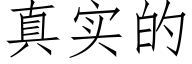 真实的 (仿宋矢量字库)