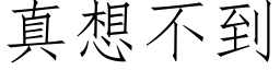 真想不到 (仿宋矢量字库)