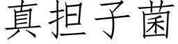 真担子菌 (仿宋矢量字库)