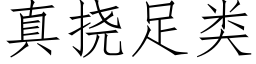 真撓足類 (仿宋矢量字庫)