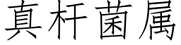 真杆菌属 (仿宋矢量字库)