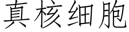 真核細胞 (仿宋矢量字庫)