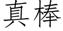 真棒 (仿宋矢量字庫)