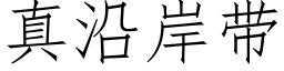 真沿岸帶 (仿宋矢量字庫)