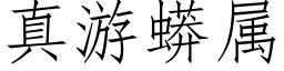 真遊蟒屬 (仿宋矢量字庫)