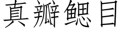 真瓣鳃目 (仿宋矢量字库)