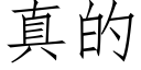 真的 (仿宋矢量字庫)