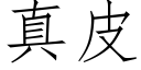 真皮 (仿宋矢量字庫)