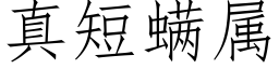 真短螨屬 (仿宋矢量字庫)