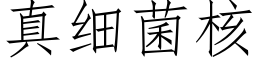 真細菌核 (仿宋矢量字庫)