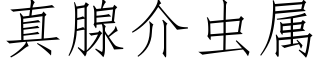 真腺介蟲屬 (仿宋矢量字庫)