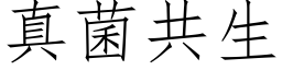 真菌共生 (仿宋矢量字库)