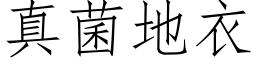 真菌地衣 (仿宋矢量字库)