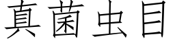 真菌蟲目 (仿宋矢量字庫)