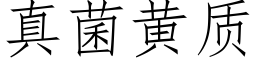 真菌黃質 (仿宋矢量字庫)