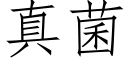 真菌 (仿宋矢量字庫)