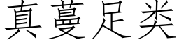 真蔓足類 (仿宋矢量字庫)