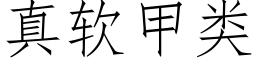 真軟甲類 (仿宋矢量字庫)