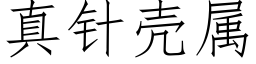 真針殼屬 (仿宋矢量字庫)