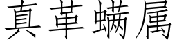 真革螨屬 (仿宋矢量字庫)