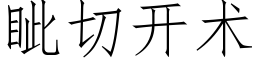 眦切开术 (仿宋矢量字库)