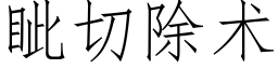 眦切除术 (仿宋矢量字库)