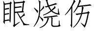 眼燒傷 (仿宋矢量字庫)