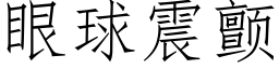 眼球震顫 (仿宋矢量字庫)