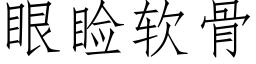 眼睑軟骨 (仿宋矢量字庫)