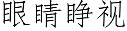 眼睛睜視 (仿宋矢量字庫)