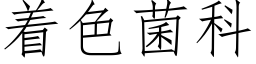 着色菌科 (仿宋矢量字庫)