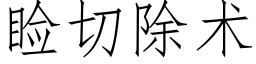 睑切除术 (仿宋矢量字库)