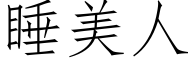 睡美人 (仿宋矢量字库)