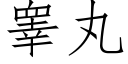 睾丸 (仿宋矢量字库)